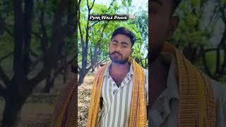 Pyar Wale Panne 📖 #shayari #shortvideo #youtubeshorts #love #sadstatus
