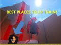 POKEMON BRICK BRONZE: BEST PLACES TO EV TRAIN P.1
