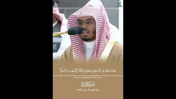تلاوة من سورة النساء لفضيلة الشيخ أ.د.ياسر الدوسري