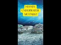 Miamis Underwater Art Park?! REEFLINE Concrete Coral #shorts