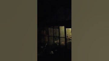 trees cast shadows in moonlight (turn up brightness)