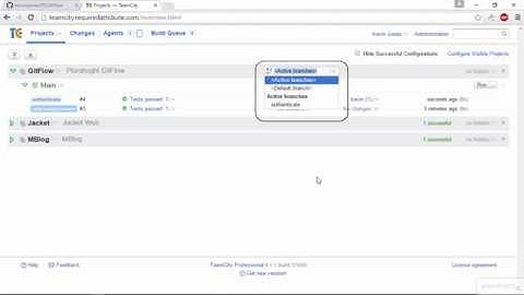 05 03 Setting up TeamCity to Build all Branches