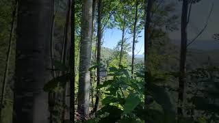 54 Sakarya Akyazı Gezi Rehberi - Kerem Ali Yaylası - Detaylar Açıklamalarda