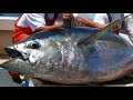 Secrets of ahi fishing session 4  ahi fishing  giant yellowfin tuna  big game fishing hawaii