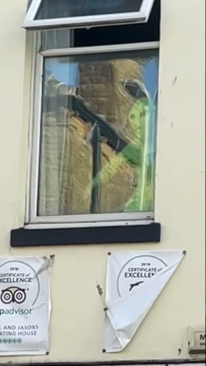 hello alien 👽🙃