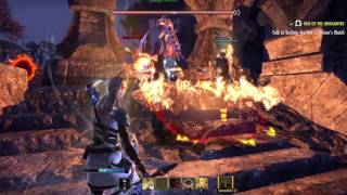 The Elder Scrolls Online: Hardest world boss fight i ever had.