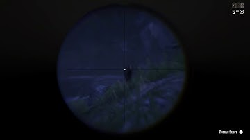 Red Dead Redemption 2 - Hunting Double Kill