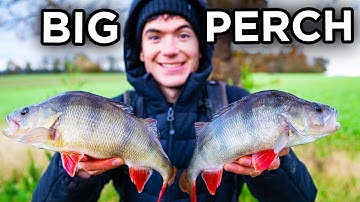 Fishing for a New PB Perch - Worm and Livebait Fishing