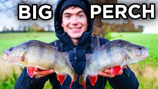 Fishing for a New PB Perch - Worm and Livebait Fishing