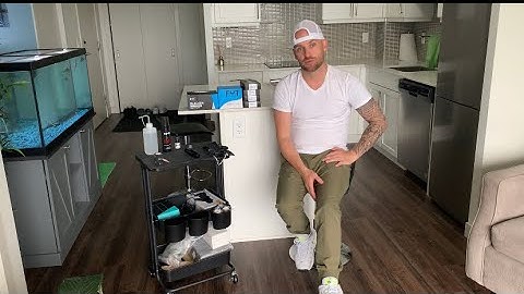 Scalp Micro Pigmentation Introduction Video/Tips for Clients to help with SMP Artist selection.