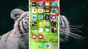 Turn off smart invert colours in iPhone 7using voice command