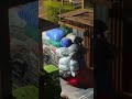 Рассвет на Пхукете, вывоз мусора