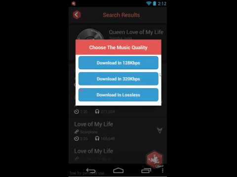 Frog MP3 FLAC Downloader Pro