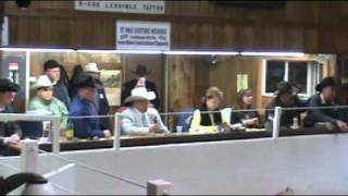 #41 Randy Searer Champion (2011 Greater Midwest Livestock Auction Competition)