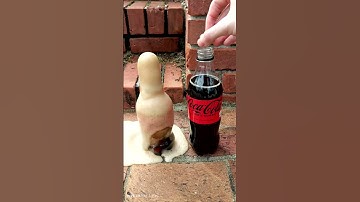 Small Vs Big Coke and Mentos (IN REVERSE) Experiment Reaction