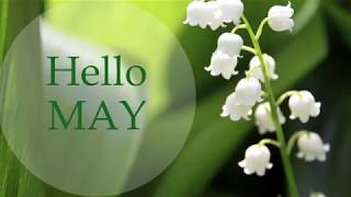 May Birthday Flower- Lily of the Valley