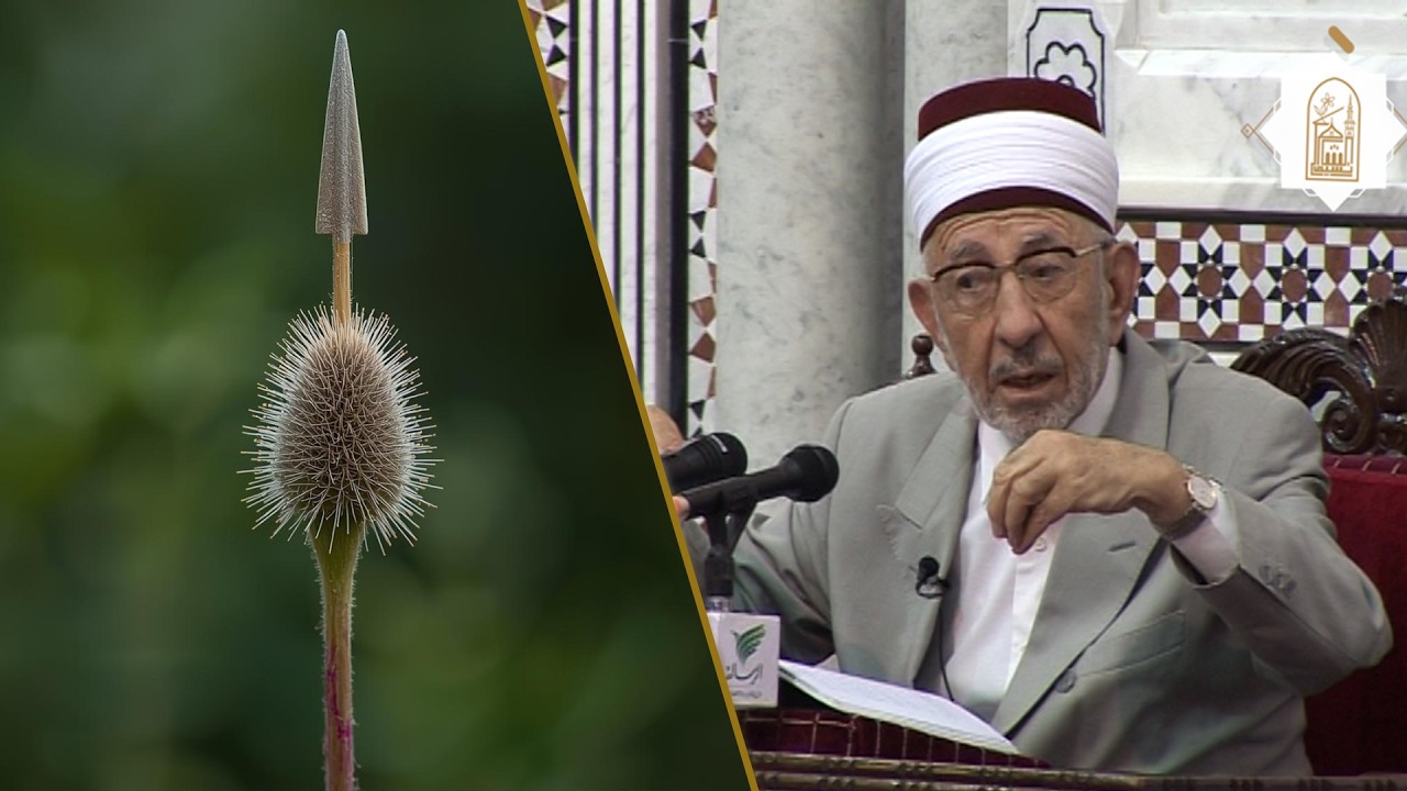 رحم الله المتنبي (كلما أنبت الزمان قناة .. ركّب المرء في القناة سنانا)