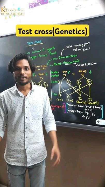 Test Cross(Genetics) #biology #shorts #TestCross 💯 - YouTube