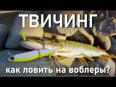 ТВИЧИНГ. Как ловить на воблеры?