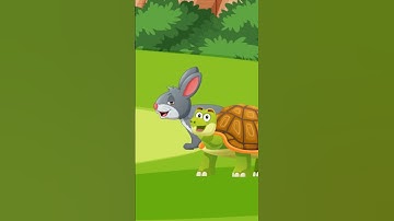 The Rabbit And The tortoise | kids Stories in English | kids want to know