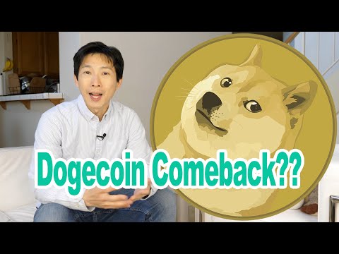 dodgecoin  2022 New  Will Dogecoin Ever Come Back?