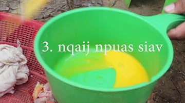 nqia pub qaib noj kos nrog muaj zog khov loj siab 2