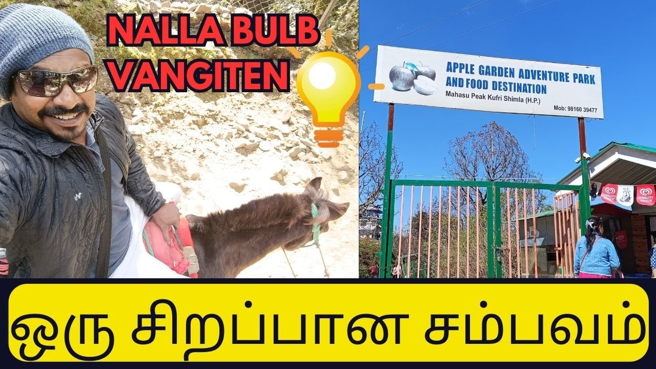 My Worst Experience in Shimla | Horse Dashed Me in Shimla's Apple Garden |  My Shocking Story