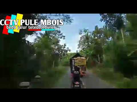  Satu  hati  sampai  mati  vs truk  direct rempah oleng  YouTube