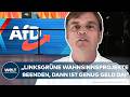 DEBATTE UM BRANDMAUER: Hat die AfD keine Lösungen? Bernd Baumann wehrt sich gegen Vorwürfe!