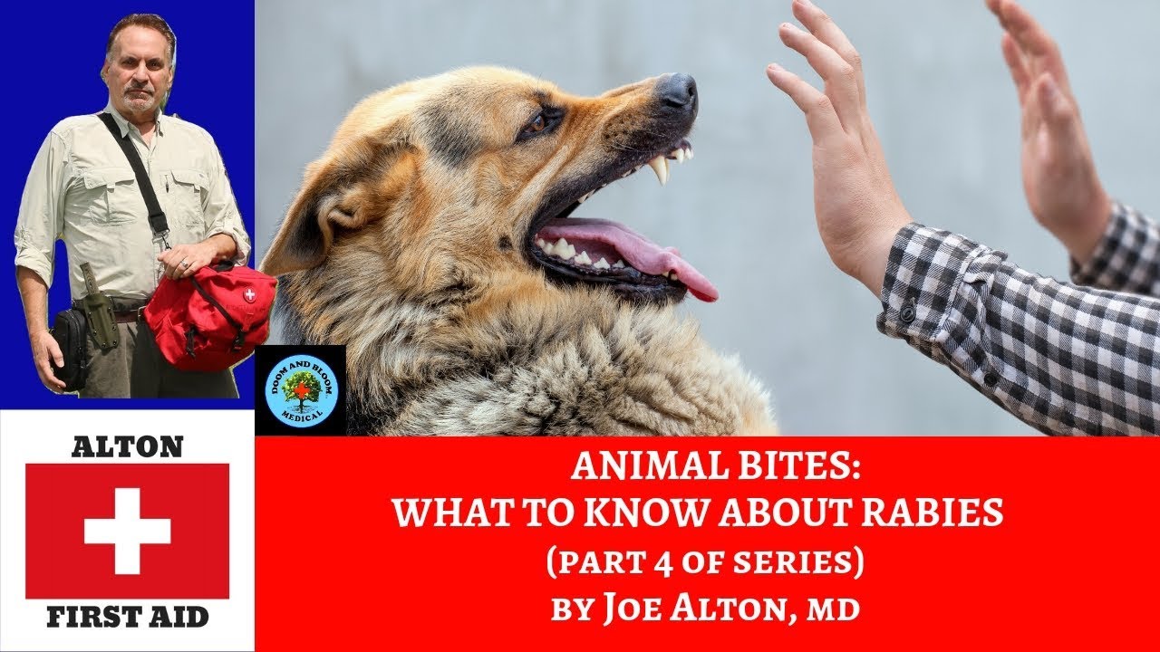 Animal Bites All About Rabies Infection (Part 4 of series) YouTube