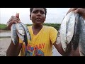 வலை போட்டு பிடித்த பால கெண்டை தந்தூரி|Fish Hunting With Fishing Net and Cooking Fish barbeque|Suppu