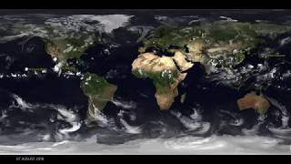Global weather August 2018