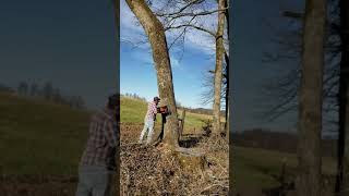 Cutting a hard leaning OAK with the bore cut method