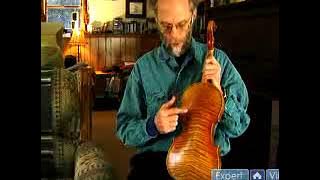 Explanation of the Types of Violin Backs
