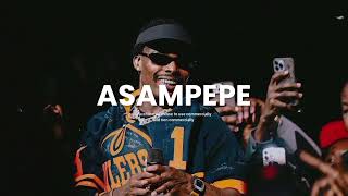 Asake x Olamide x Seyi Vibez Amapiano Instrumental 2024 - ASAMPEPE