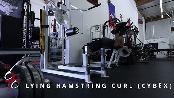 Lying Hamstring Curl (Cybex)