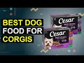 Top 5 Best Dog Food For Corgis | Top Corgi Dog Food Picks