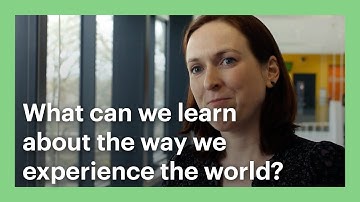 What can we learn about the way we experience the world?