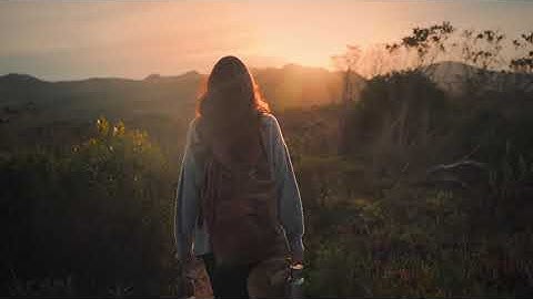 Alan Watts | The Ego and the Universe