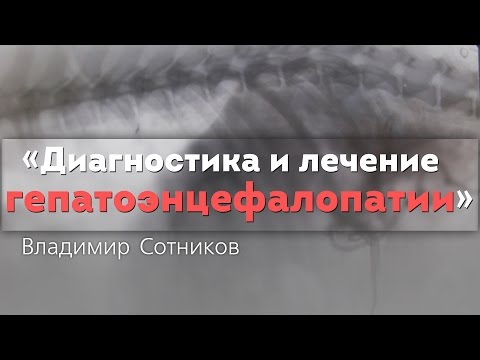 Диагностика и лечение гепатоэнцефалопатии