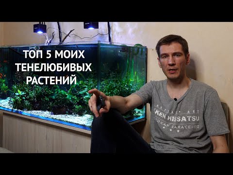 Топ 5 медленнорастущих растений