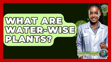What Are Water-Wise Plants? - Earth Science Answers