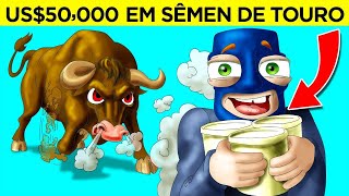 As Coisas Mais Idiotas Já Roubadas