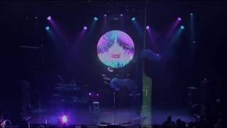 Under the Cherry Moon instrumental (Live 2009) part 1/11