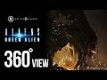 Queen Alien | 360 View | Prime 1 studio