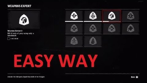 Rdr2 Weapons Expert Challenge 3 Kill 3 Birds of Prey with Tomahawk Easy Way