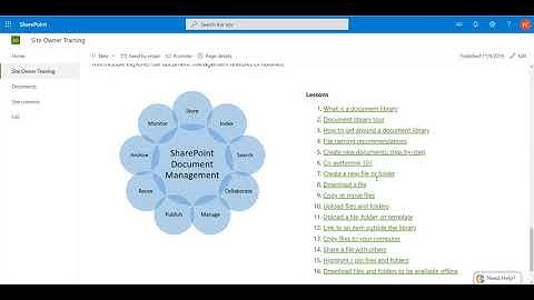 SharePoint site owner training using VisualSP
