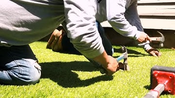 Synthetic Turf Timelapse installation