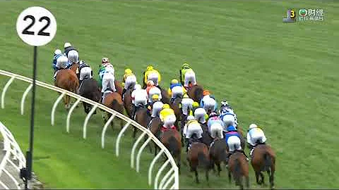 澳洲墨爾本盃 Melbourne Cup 一級賽 G1 3200m 2022-11-01 踏金行 Gold Trip 費明頓馬場 Flemington Racecourse - 天天要聞