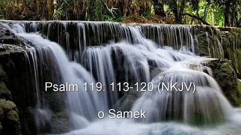 Psalm 119: 113-120 (NKJV) - ס Samek